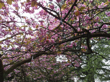 Easter Family Fun at Farmleigh